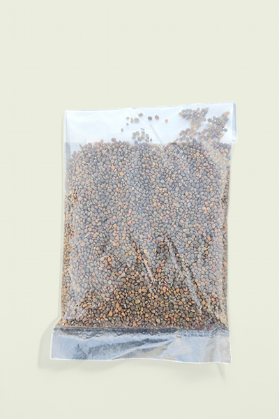 بذور الجرجير